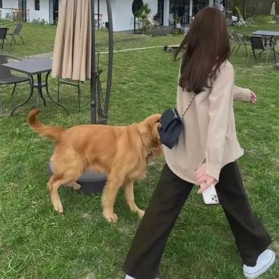 派出所的故事